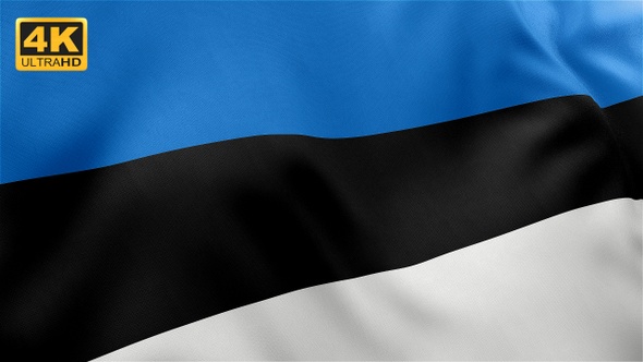 Estonia Flag - 4K