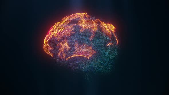 Hologram Brain Activity Visualization with Particles