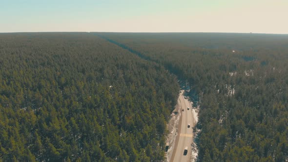 Green Endless Pine Trees Surround Grey Road with Automobiles