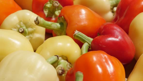 Picked fresh peppers Capsicum annuum on pile 4K footage