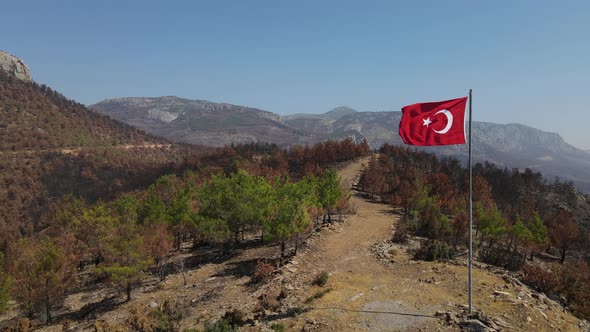 Burnt Forest Vanished Turkish Flag Mountain