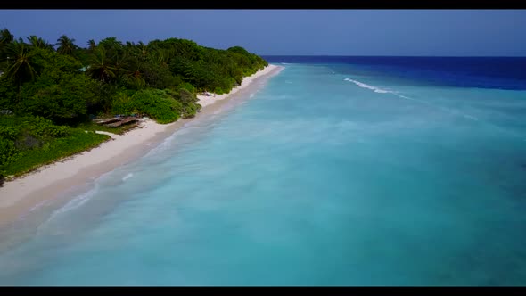 Aerial top down travel of exotic seashore beach wildlife by shallow lagoon and white sand background