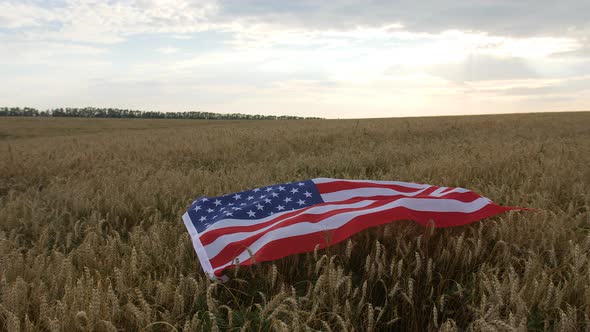 Big Usa Flag Lies on the Ears of Wheat in the Field View From Above