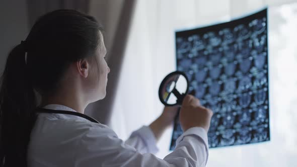 Intelligent Caucasian Young Doctor Analyzing Brains Xray with Magnifying Glass