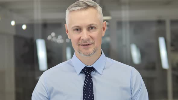 Portrait of Talking Grey Hair Businessman, Online Video Chat