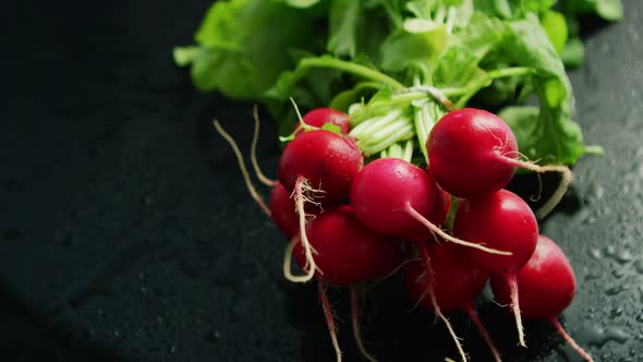 Bunch of Ripe Radish