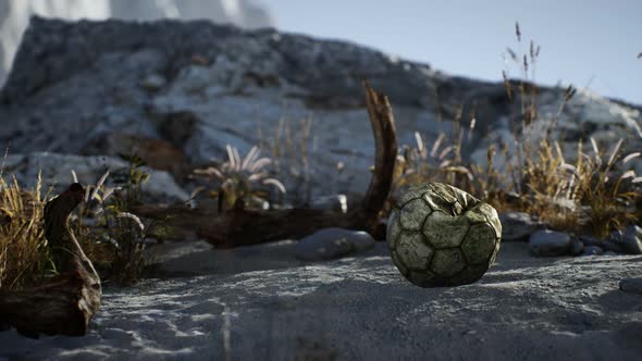 An Old Torn Soccer Ball Thrown Lies on Sand of Sea Beach alt
