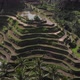 Aerial Footage Around Rice Terrace - VideoHive Item for Sale