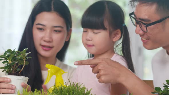 sian family dad, mom and daughter watering plant in gardening near window at house.