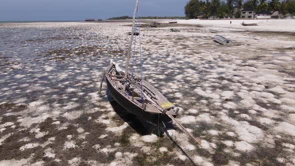 Shore of Zanzibar Island Tanzania at Low Tide