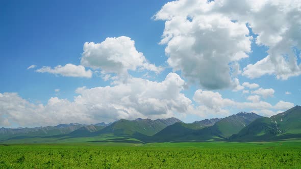 Mountains and grassland