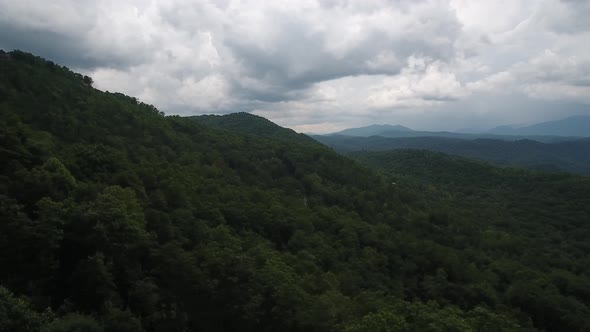 Tennessee Mountains Pan Trees