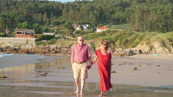 Senior couple standing on beach by waving sea