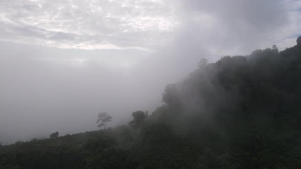 Aerial view fly over low cloud