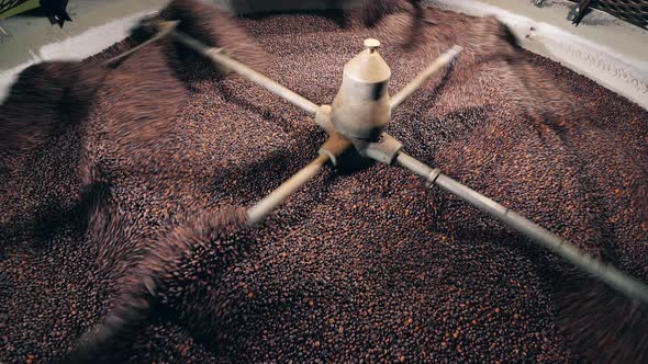 Rotating Machine Mills Coffee Beans at a Factory