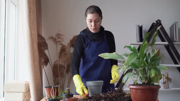 A Young Caucasian Lady a Gardener in Work Clothes with Black Hair Tells How to Transplant