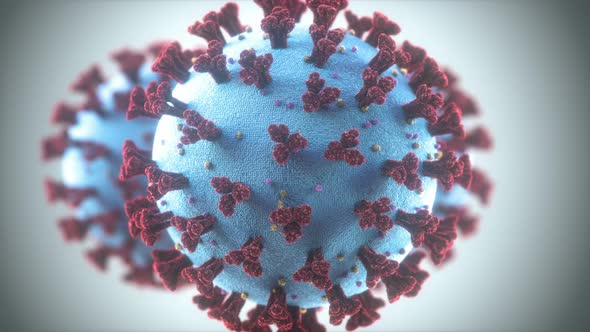 Coronavirus Respiratory Infections Viruses Mutation