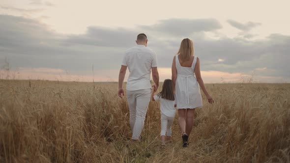 Slow Motion Happy Family of Farmers with Child are Walking on Wheat Field