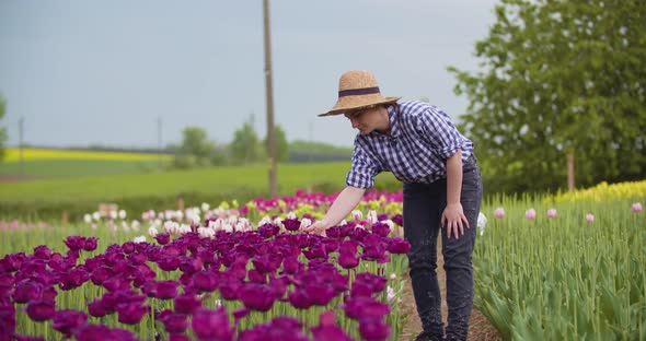 Female Farmer Working on Tulips Field