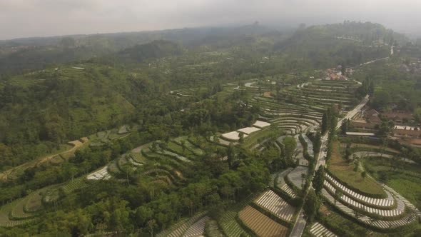 Tropical Landscape with Farmlands in Mountains