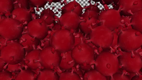 Bunch of Covid-19 Type Viruses Transition With Alpha Channel