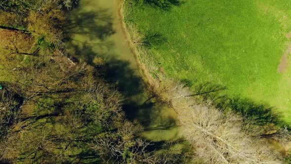 Aerial view of the Tree's in the farm