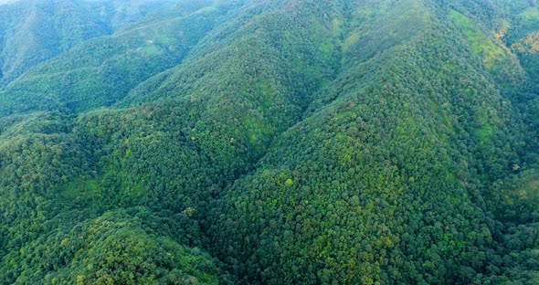 Aerial view of mountain and forest.