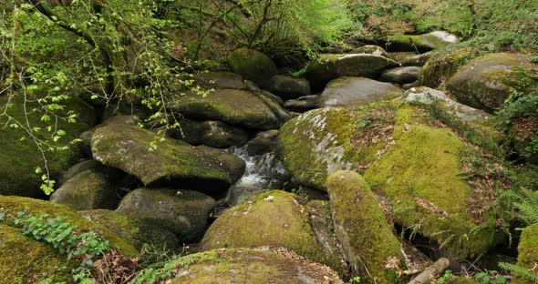 The Toul Goulic gorge, Cotes d Armor department, Brittany in France