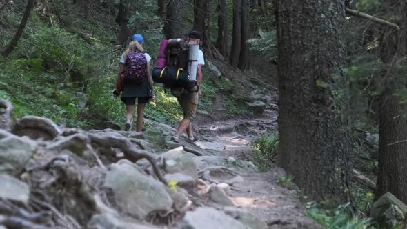 Couple of Tourists with Backpacks Climbing Up on Stone Trail in Mountain Forest