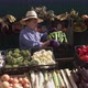 Cucumbers at the Farmers' Market. - VideoHive Item for Sale