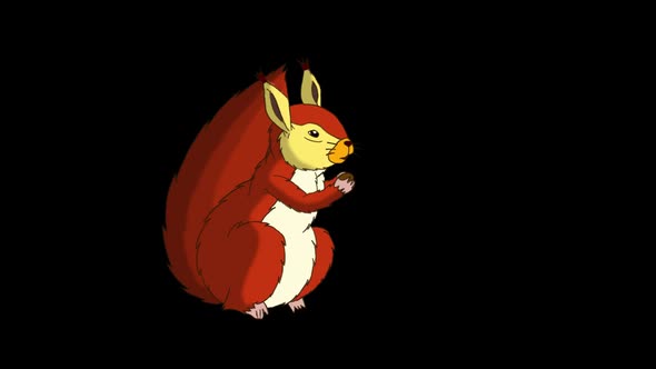 American Red Squirrel Sitting and Eating alt