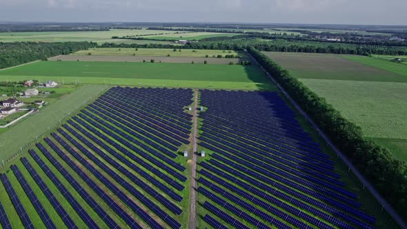 Rows of Photovoltaic Solar Cells