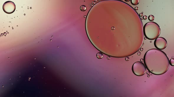 Abstract Colorful Food Oil Drops Bubbles 233