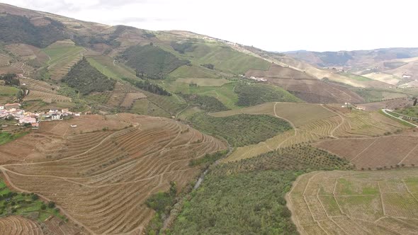 Flying Over Mountains Vineyards in Douro Wine Region, Portugal