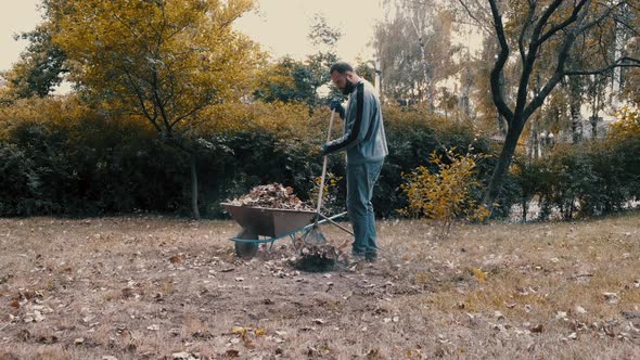 Garden Worker Raking Dry Leaves in the Garden with a Rake in Cold Weather