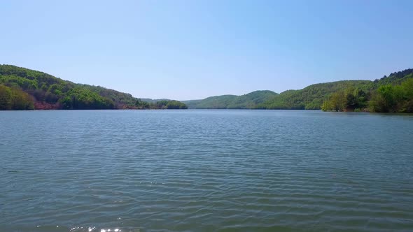 Lake And Forest Drone View