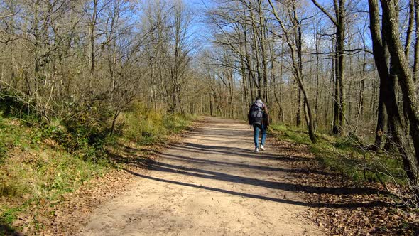 Autumn Hiking