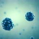 Bacteria Cells - VideoHive Item for Sale