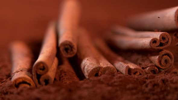 Super Slow Motion Shot of Falling Cinnamon Into Brown Powder at 1000Fps