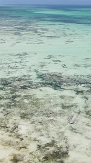 Tanzania  Vertical Video of Low Tide in the Ocean Near the Coast of Zanzibar Slow Motion