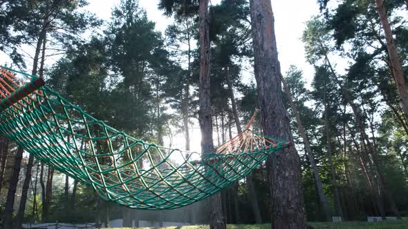 Green Hammock in the Woods It Swings