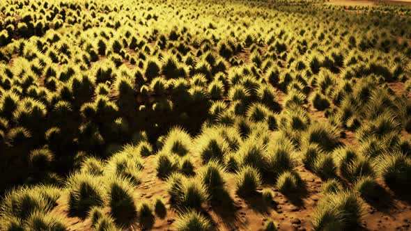 Stoney Desert in Outback Australia