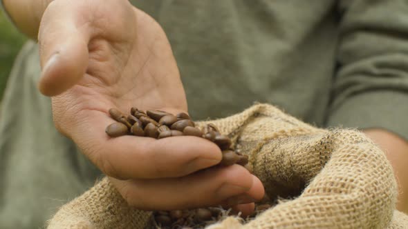 Male Hands Pouring Coffee Beans