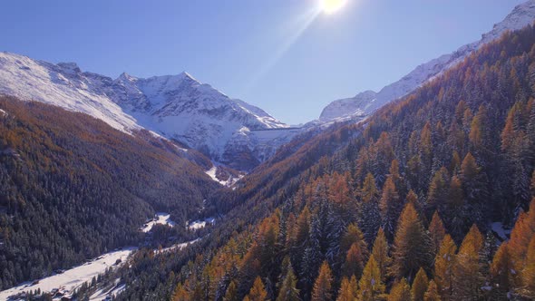 Mountain Forests in the Fall in Switzerland