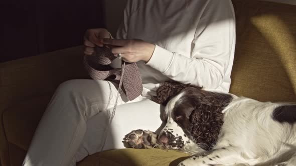 Woman knitting with dog on the couch 4K