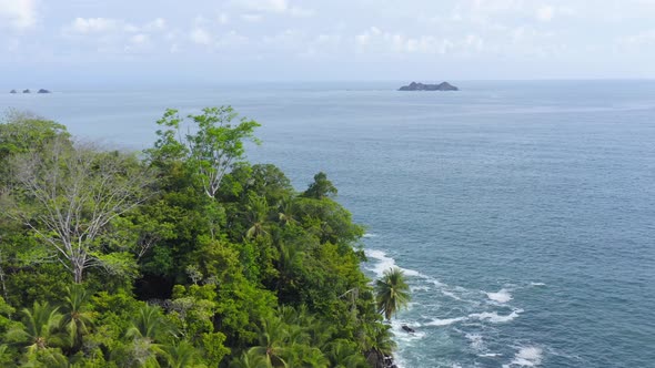 Aerial Drone View of Rainforest on the Pacific Ocean Coast in Costa Rica, Coastal Tropical Jungle La