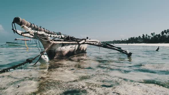 African Traditional Wooden Boat Stranded in Sand on Beach at Low Tide Zanzibar