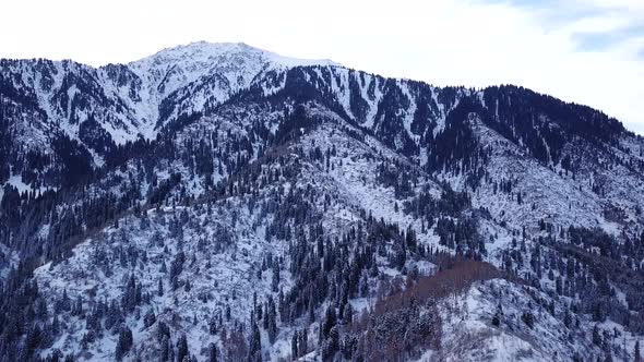 Winter Forest and High Mountains Covered with Snow