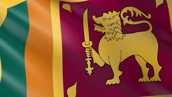 Flag of The Sri Lanka