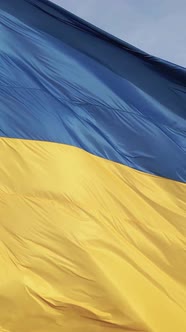 Vertical Video National Flag of Ukraine By Day